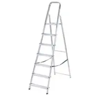 ladder7 step
